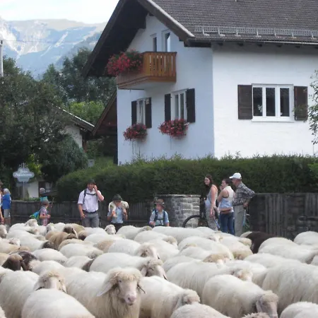 Adelia Appartement *